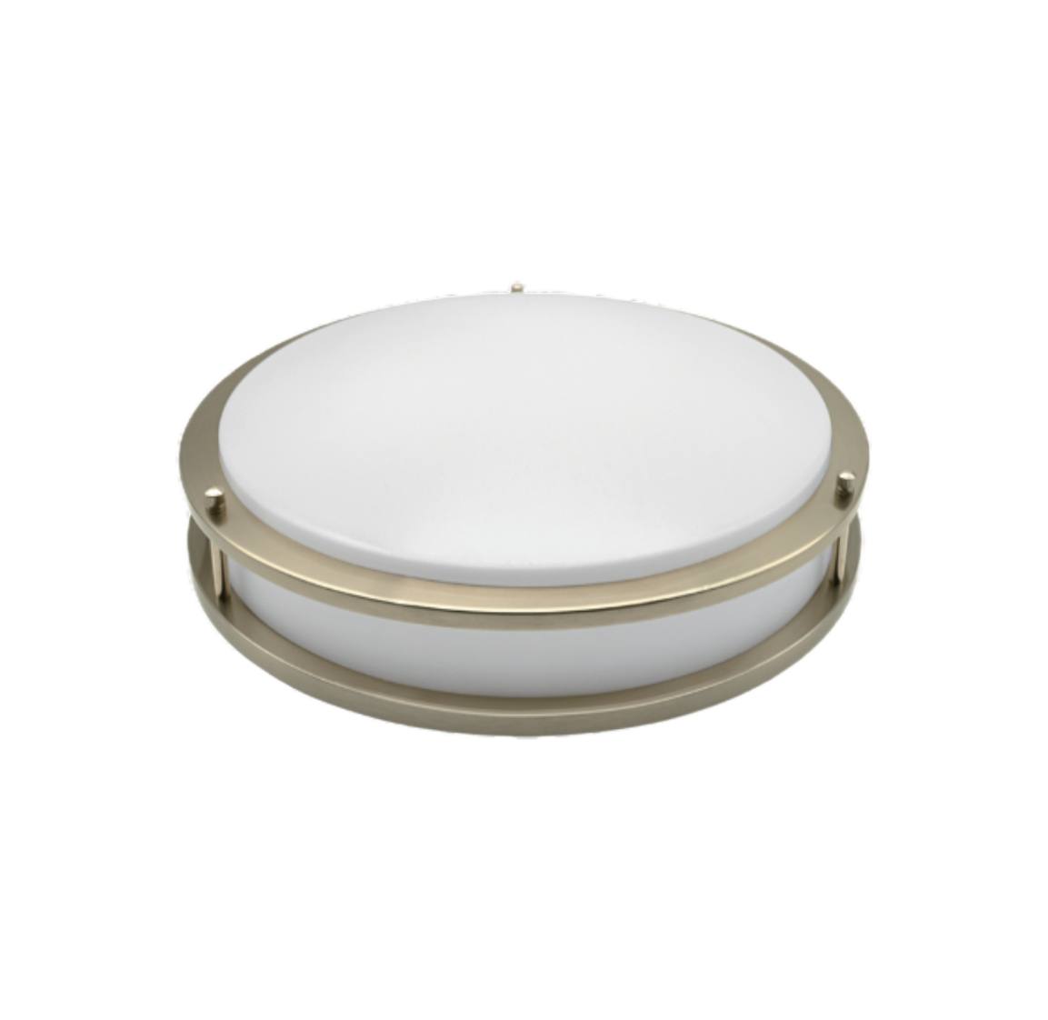 DM-CL12IN16W-5CCT